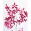 Faux Pink Dancing Oncidium 46.5"