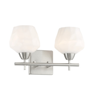 Highland Dunes Muro Transitional Coal Finish Vanity Light