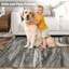 Tapis abstrait 5 x 7 po-1706097502