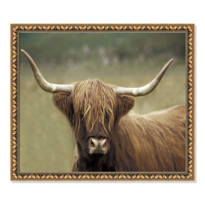 Highland Afternoon by Danita Delimont - Picture Frame Photograph