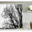 Borden Autumn Fall Tree Branch Single Shower Curtain-895164210