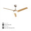 Streetman Ventilateur de plafond intérieur argenté moderne avec ensemble d'éclairage et télécommande