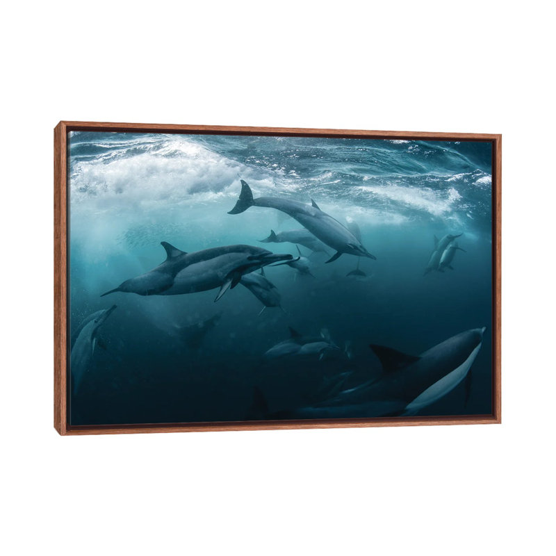 Dolphine Run by Andrey Narchuk - Print on Canvas
