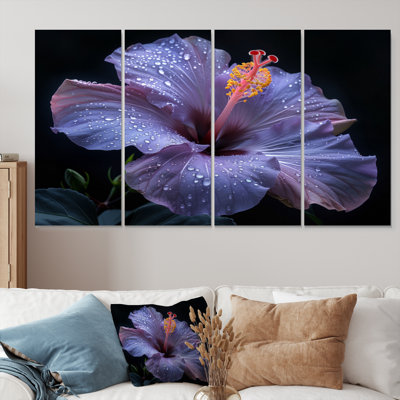 Hibiscus mauve et rose