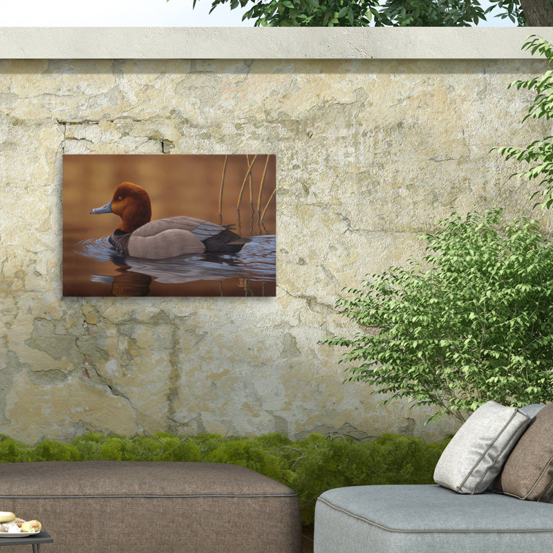Toile d'extérieur Jeff Hoff Redhead Duck, H 12 po x l 19 po