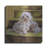 " Maltese " by Barbara Keith-836500663