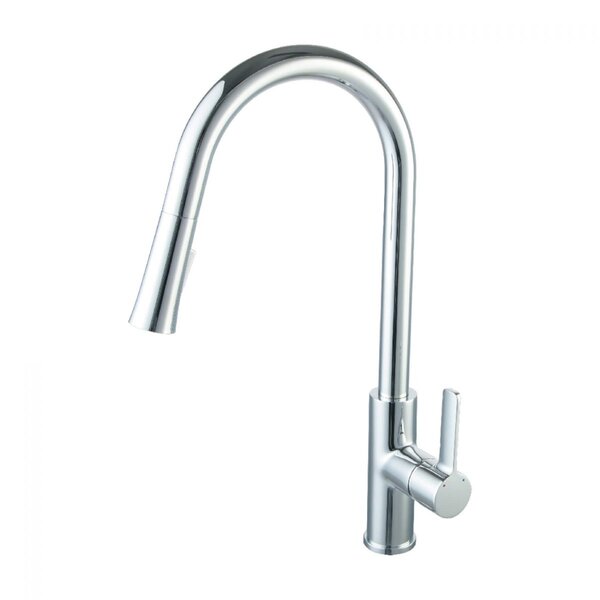 Blossom Pull Down Kitchen Faucet & Reviews | Wayfair