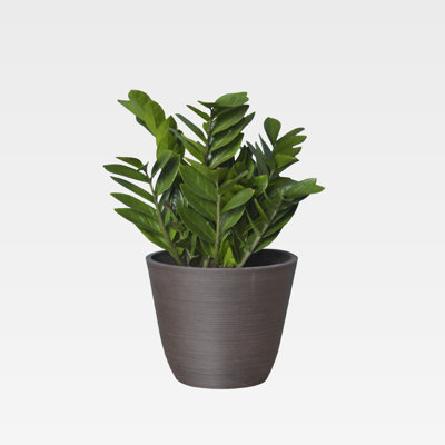 Pot à fleurs en plastique Icare