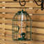 Caullin Metal Hanging