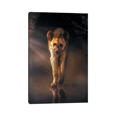 The Lonely Hyena 1 Piece Wall Art on Canvas