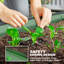 Outsunny Set of 2 Raised Beds for Garden, 181 x 93 x 30 cm, Green