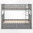 Sydnie 2 Drawer Standard Bunk Bed-25249979-25249982