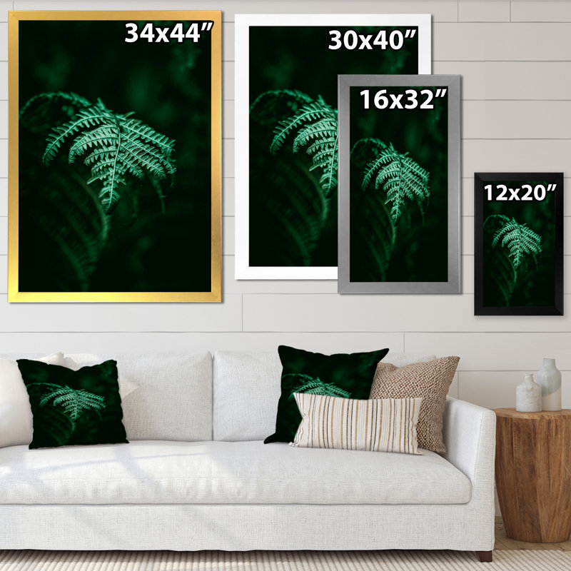 Fougère vert foncé sur fond noir I - reproduction sur toile, H 32 po x l 24 po, Toile avec cadre de coin noir fermé