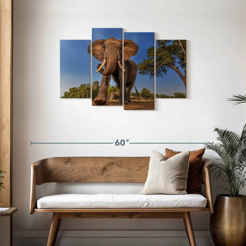Playful African Elephant, 27" H x 43" W