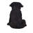 Pug Puppy Statue