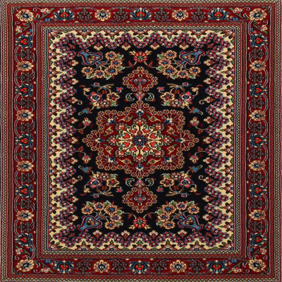 Oriental Indoor Rug
