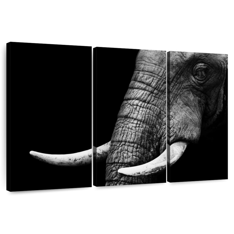 Elephant Close Up, 24" H x 38" W