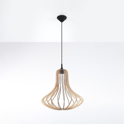 1 - Light Single Pendant