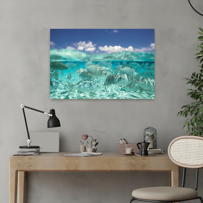 School Of Fish Submerged Abstract Contemporary Fish Landscape Nature Art