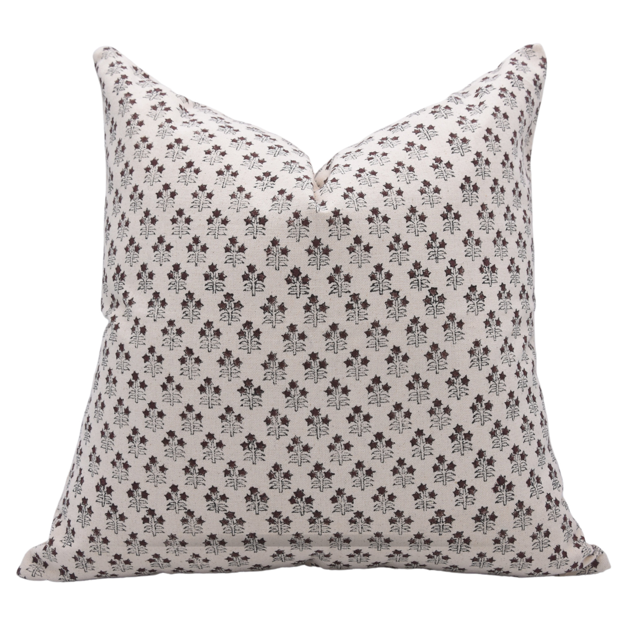 Levert Cotton Indoor/Outdoor Pillow Cover, 22" x 22"