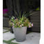 Self-Watering Concrete Pot Planter-1387001346-1387001349