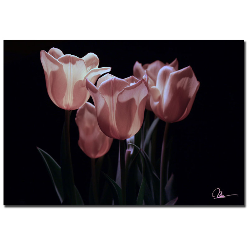 « rose fleuris ii » par martha guerra, reproduction de photo sur toile, H 16 po x l 24 po x P 2 po
