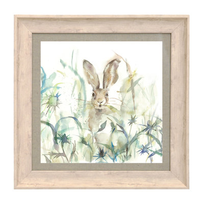 Jack Rabbit - Single Picture Frame Print