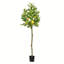 Artificial Potted Lemon Tree-1835507737