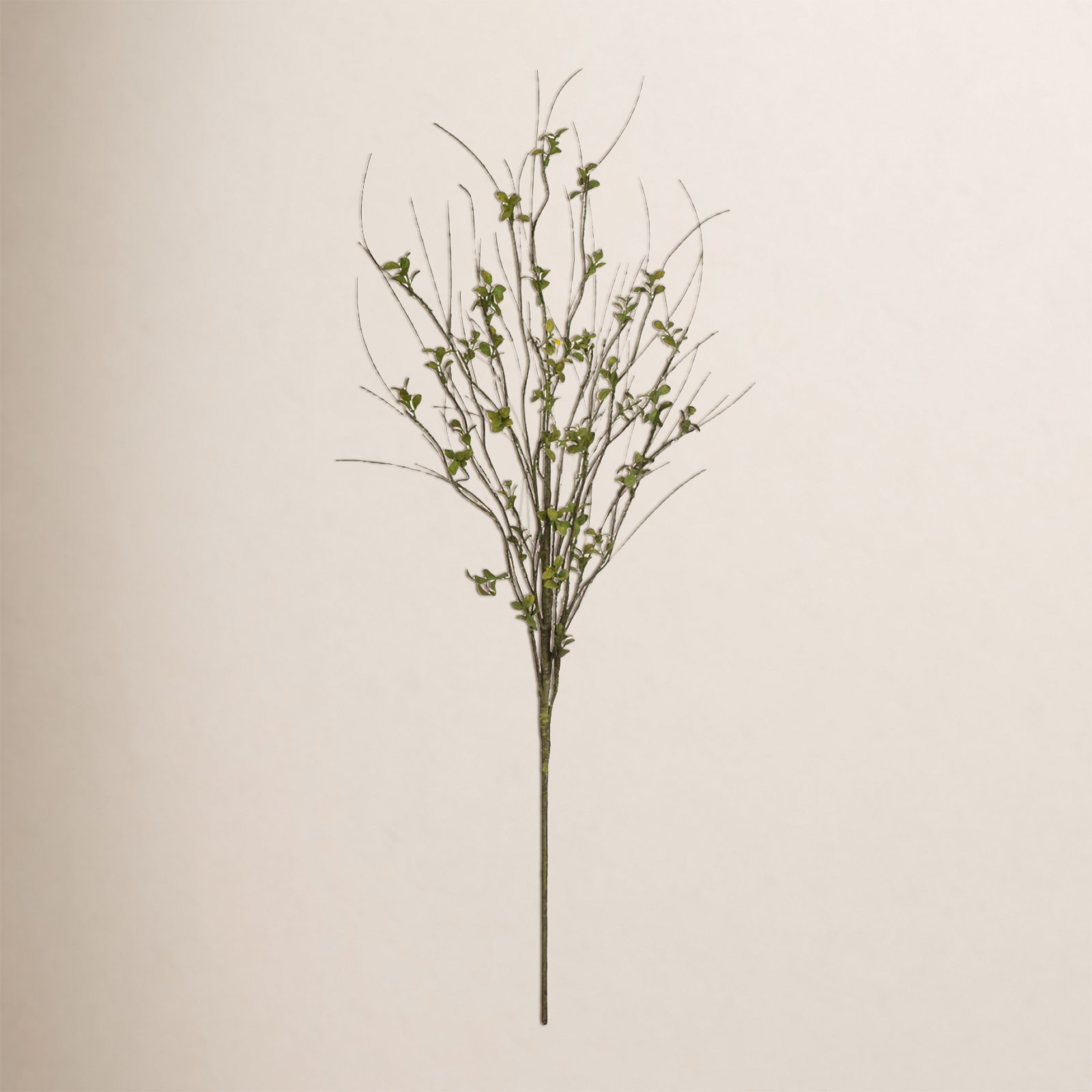 Leafy Foliage Stems