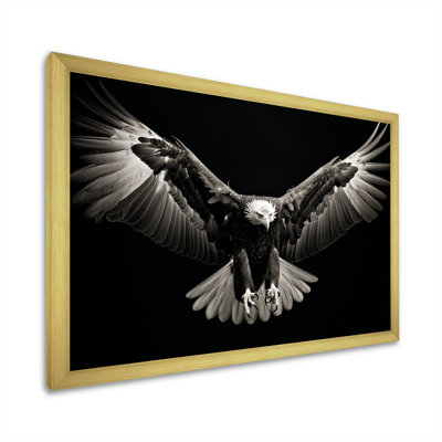 " Bold Eagle Power Hunter IV "