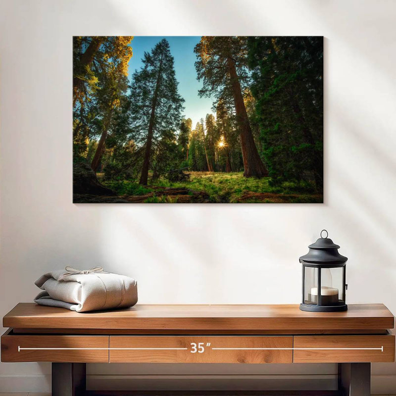 Alvord Sequoia Forest Scenery