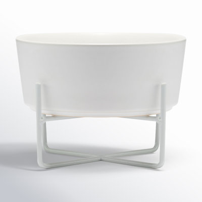 Jaylee Dog Bowl and Stand Set