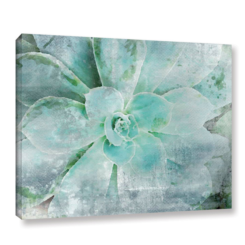 Impression sur toile Jeanetta «Teal Succulent 2», H 24 po x l 32 po x P 2 po