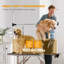 431.8cm H x 271.78cm W x 152.4cm D Metal Adjustable and Foldable Dog Folding Grooming Table-1545288501