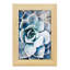 Pastel Succulent Beauty III, encadré sur papier-1798641936-1798641967