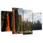 Kings Canyon Sequoia Trees-1553682278