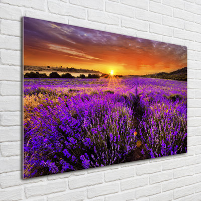 Lavender Field - No Frame Print on Glass
