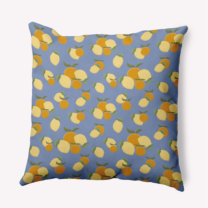 Housse et insert de coussin décoratif en polyester pour intérieur / extérieur E par Design, H 20 po x l 20 po