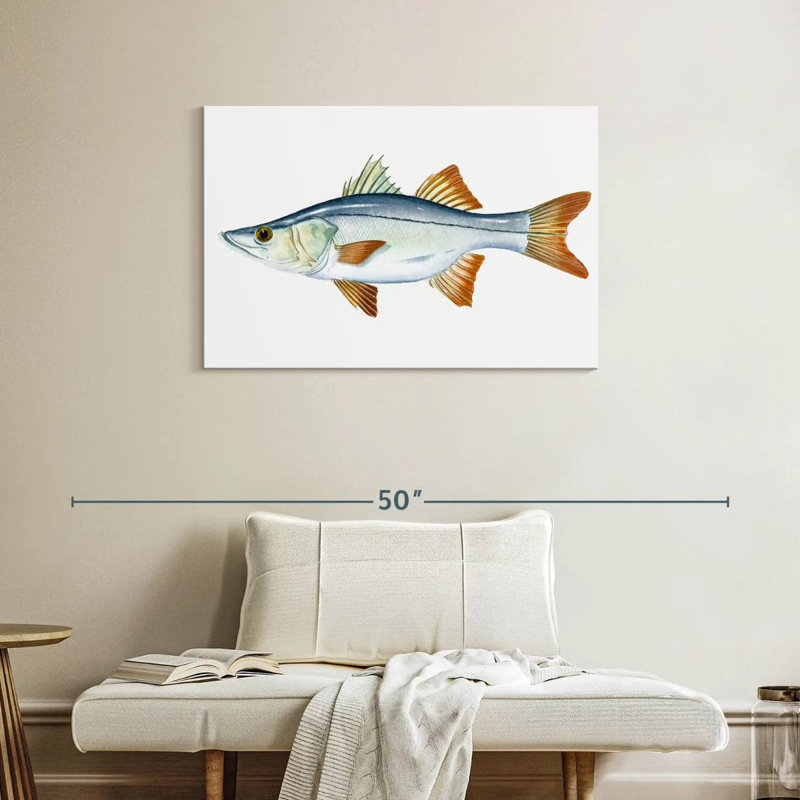 Brampt Snook, 24" H x 36" W