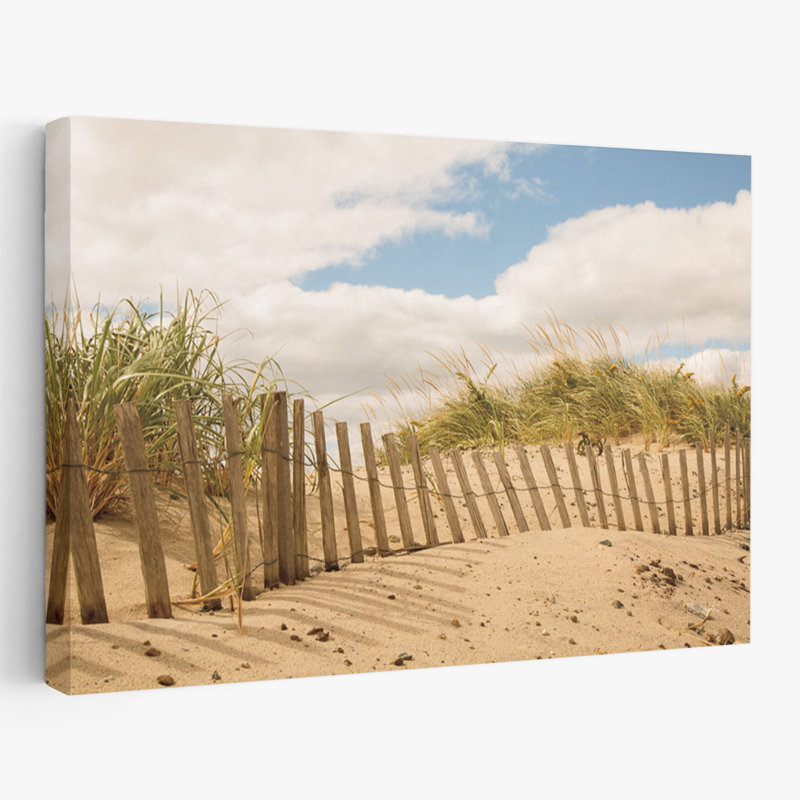 Dunes côtières et de plage I, H 24 po x l 16 po