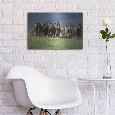 " Montana Thunder " by Lisa Dearing