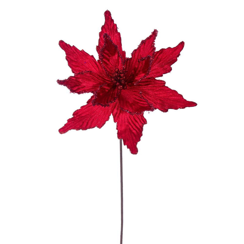Cliffo Poinsettia Arrangement, Red