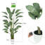 Ankitha Faux Bird of Paradise Plant-132189341