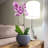 Florence Pot Planter-50346848-50346846