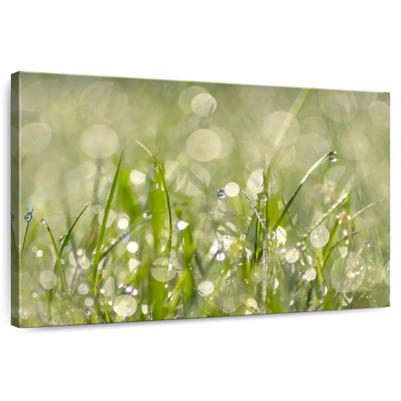 Harnek, gouttes de pluie sur l'herbe, abstrait, H 20 po x l 30 po
