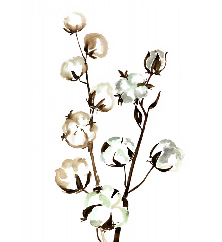 Wrapped Canvas Print, 76.2 cm H x 50.8 cm W