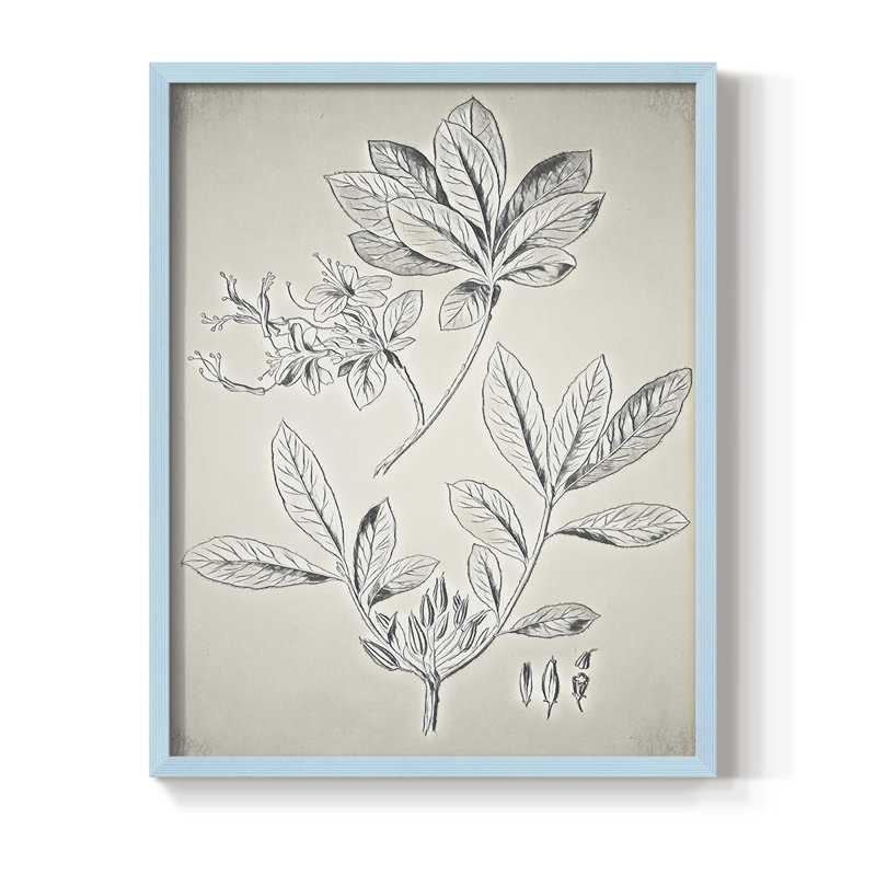 Impression florale vintage encadrée CCX III - bois massif, Bleu, H 11 po x l 9 po