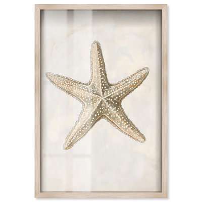 «Starfish II Shadowbox», art mural côtier par Art Remedy, cadre blond, 37 x 55