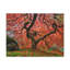 No Frame Print on Canvas-1122247859