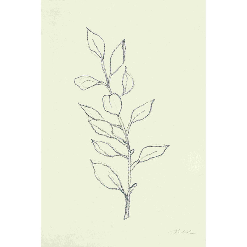 «August Branch II» par Silvia Vassileva - reproduction de dessin, H 18 po x l 12 po, Toile tendue